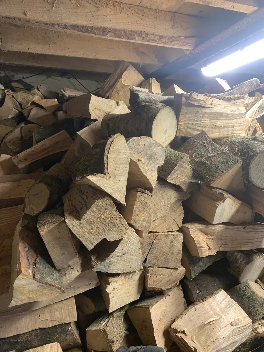 Firewood - Image 2