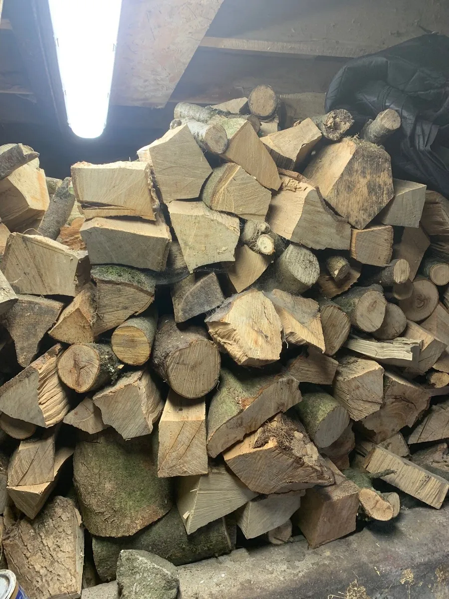 Firewood - Image 4