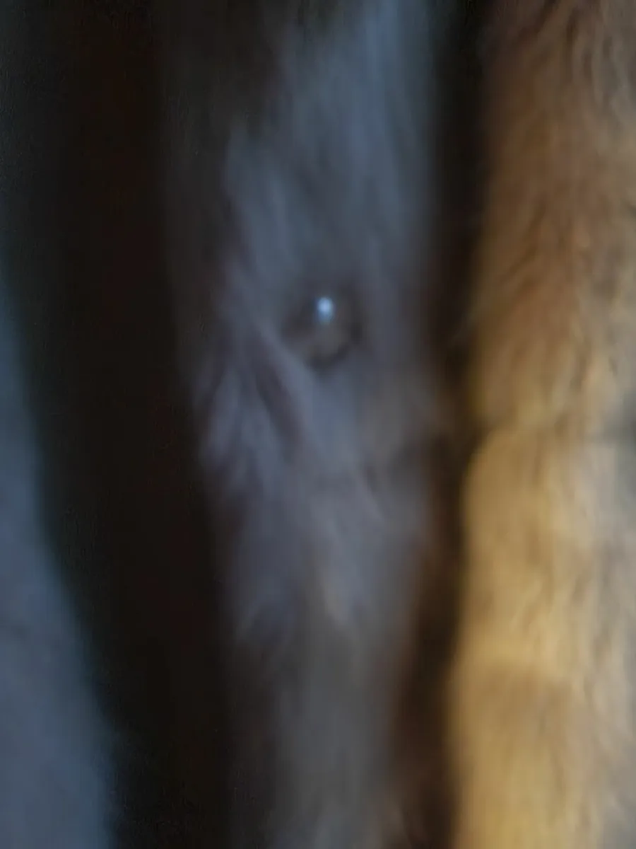 Ladies fur coat . - Image 2