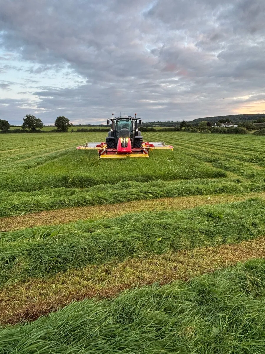 Silage bales - Image 1