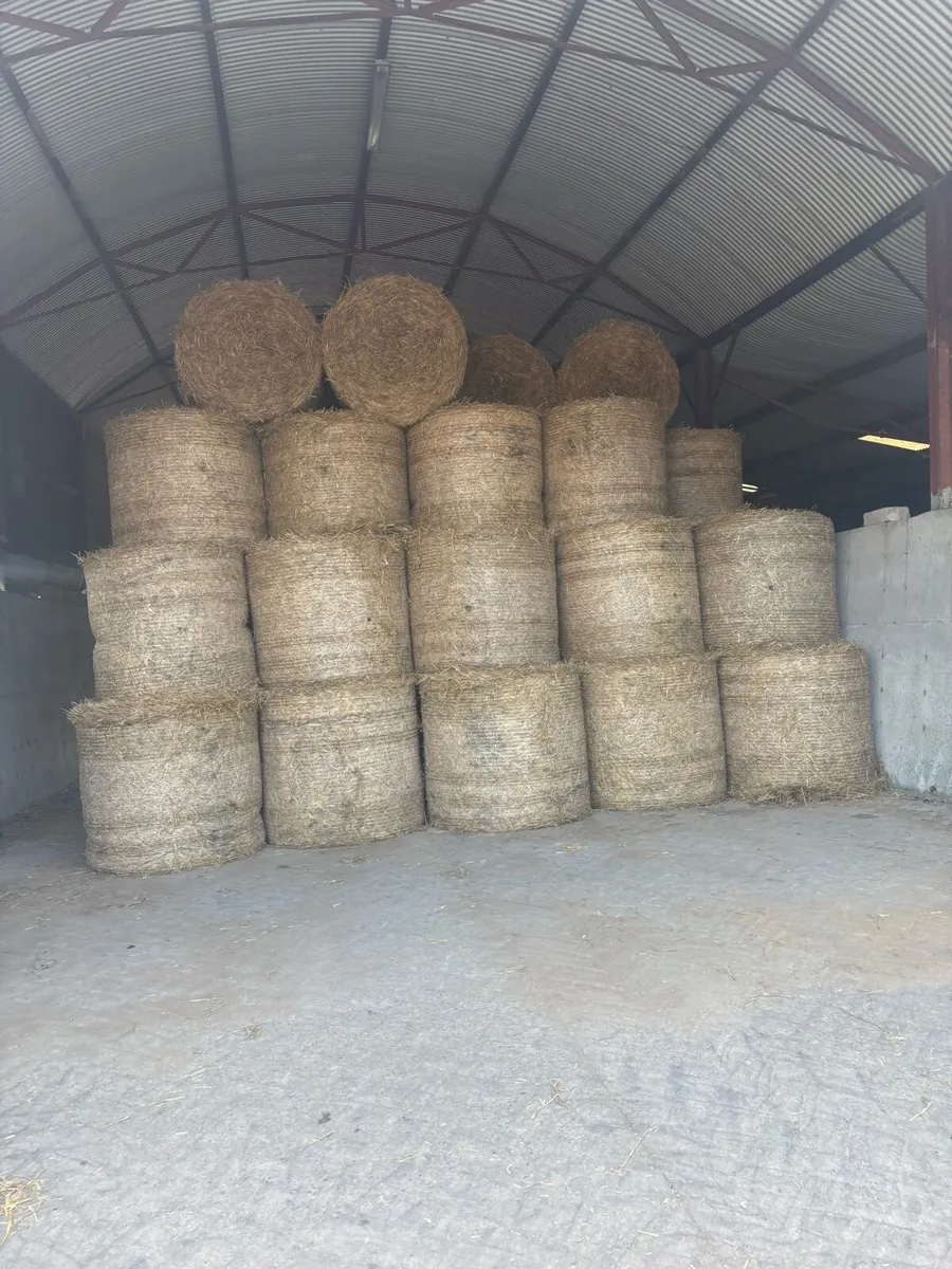 Silage bales - Image 2