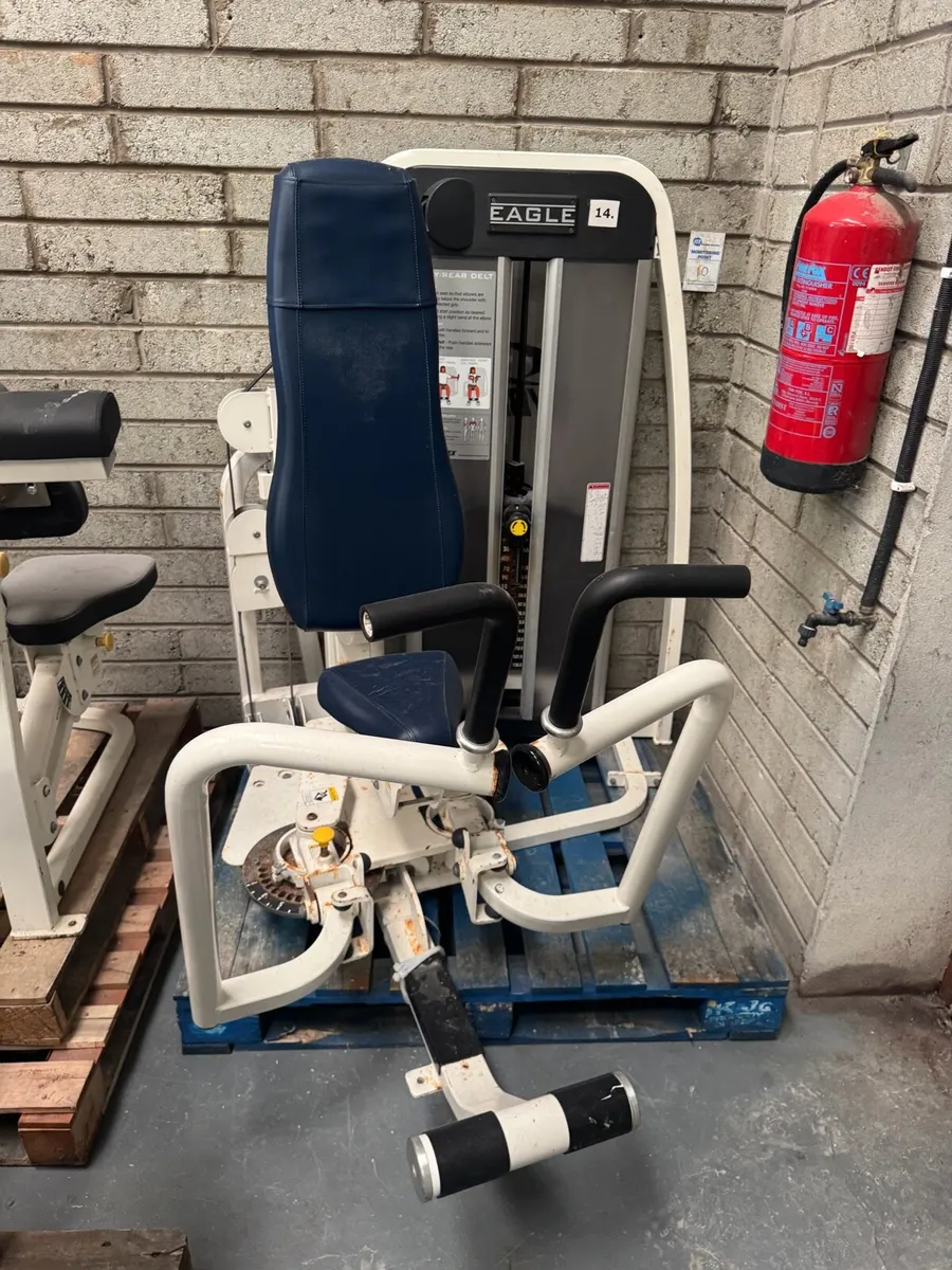 Cybex eagle pec fly / rear delt - Image 1