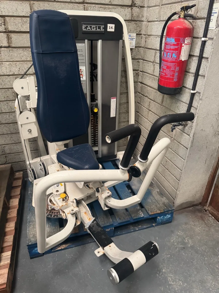 Cybex eagle pec fly / rear delt - Image 2