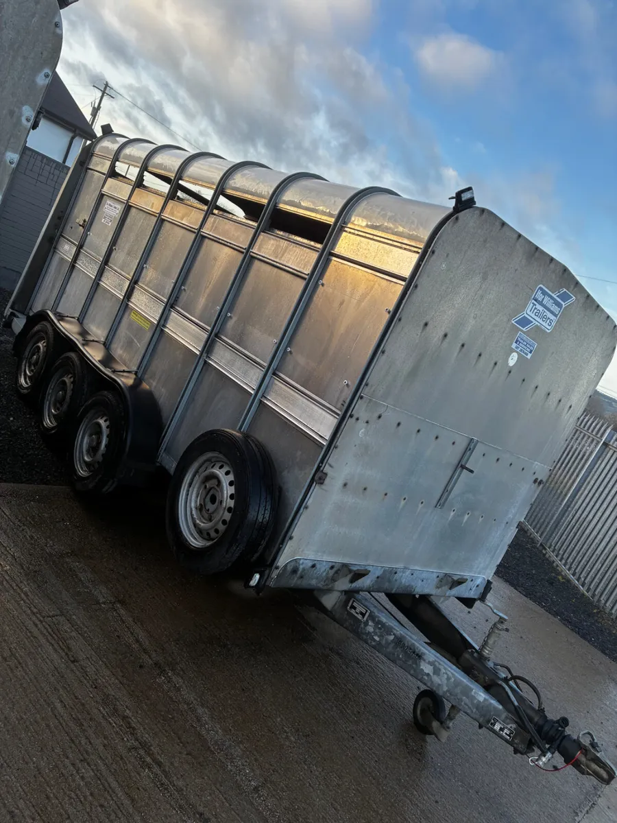 14ft ifor Williams livestock with decks - Image 2