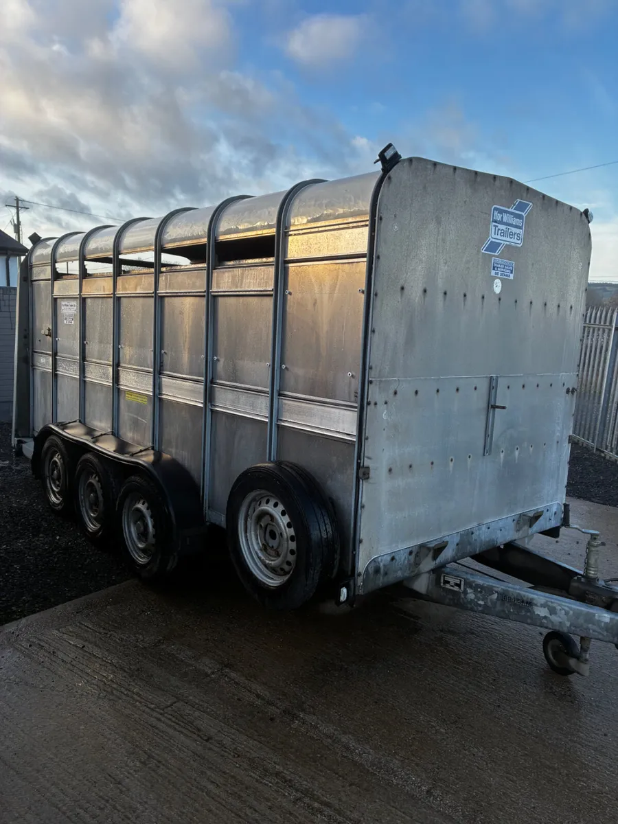 14ft ifor Williams livestock with decks - Image 4