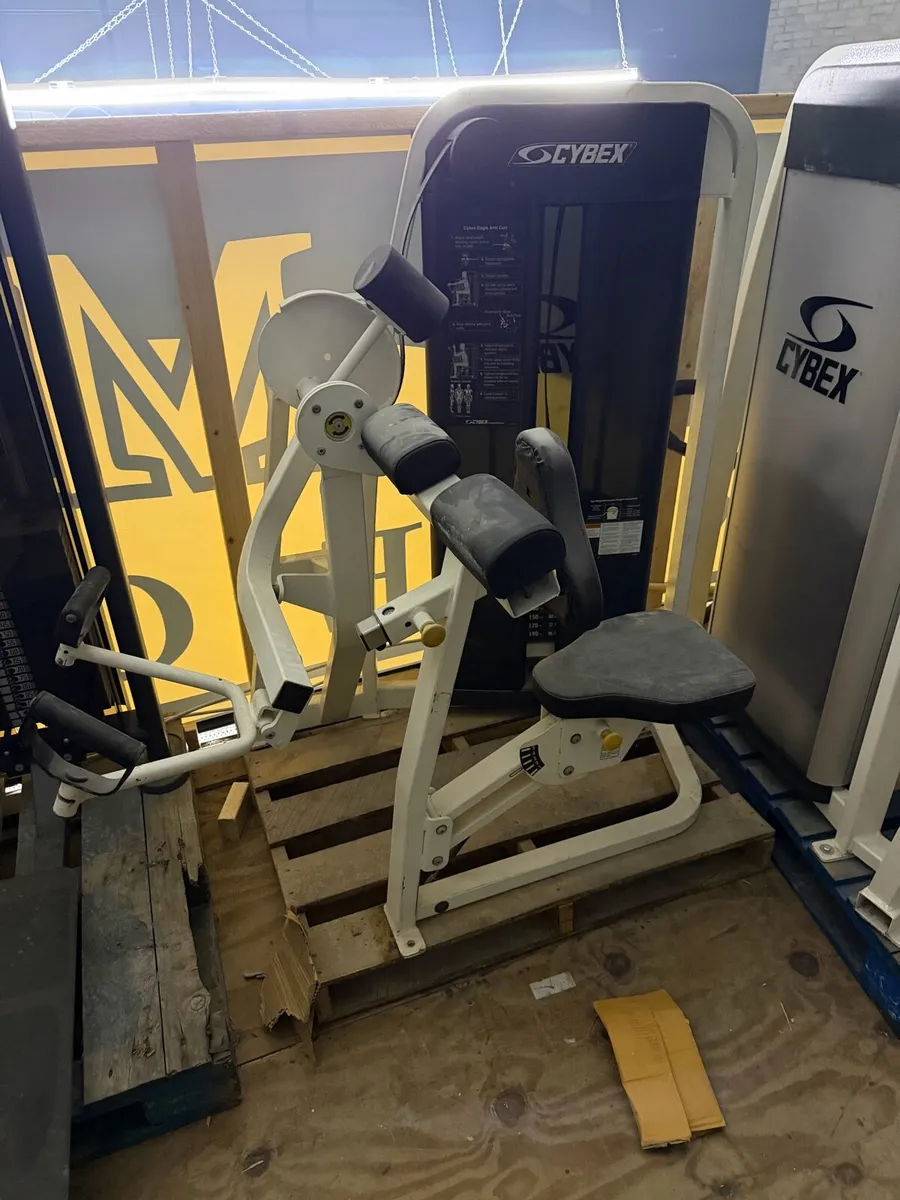 Cybex eagle bicep curl