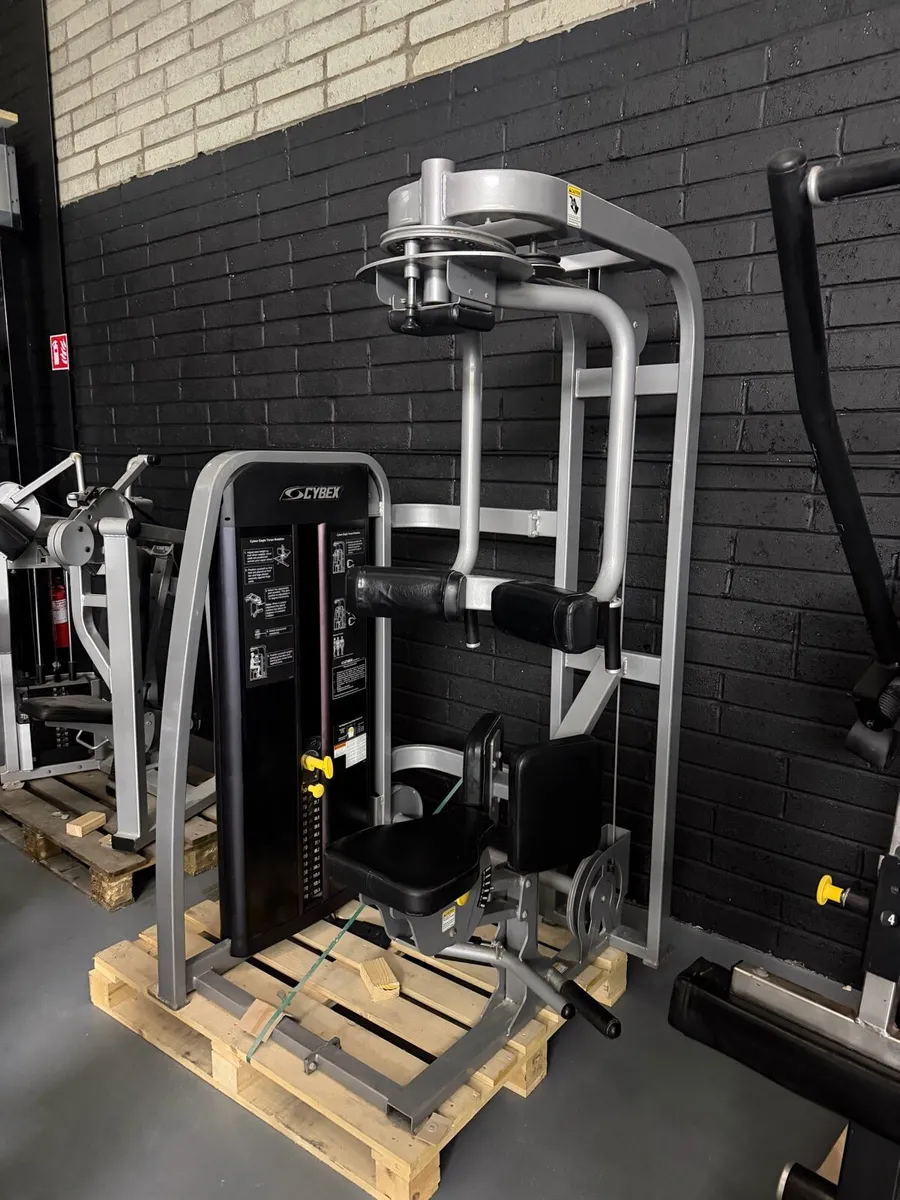 Cybex eagle torso rotation - Image 1