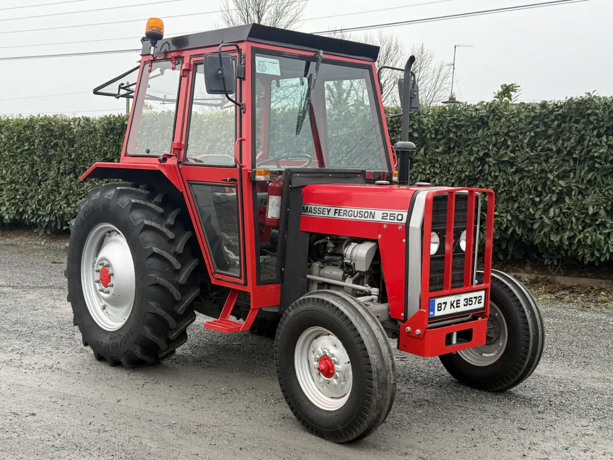 Massey Ferguson 250 - Image 2
