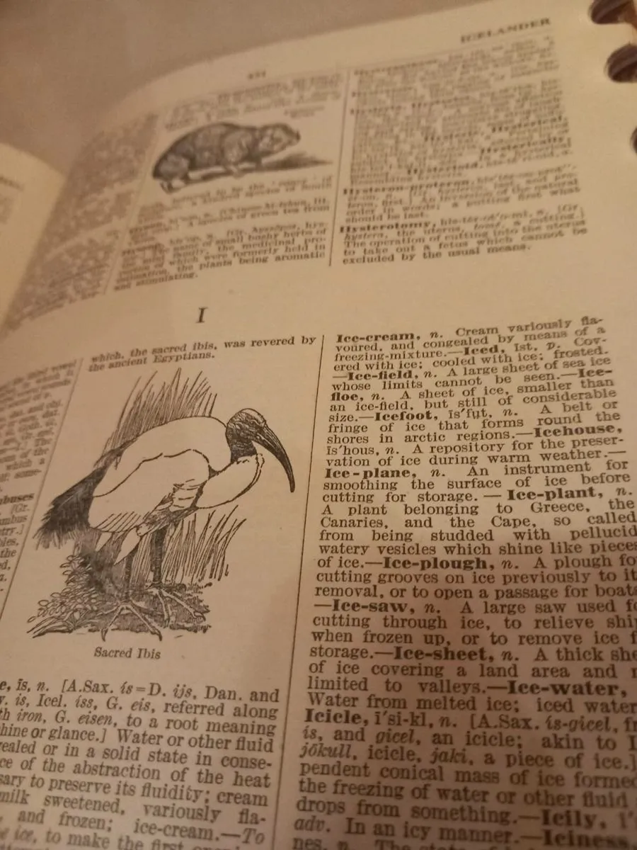 Virtue's English dictionary encyclopedia D18 post - Image 4