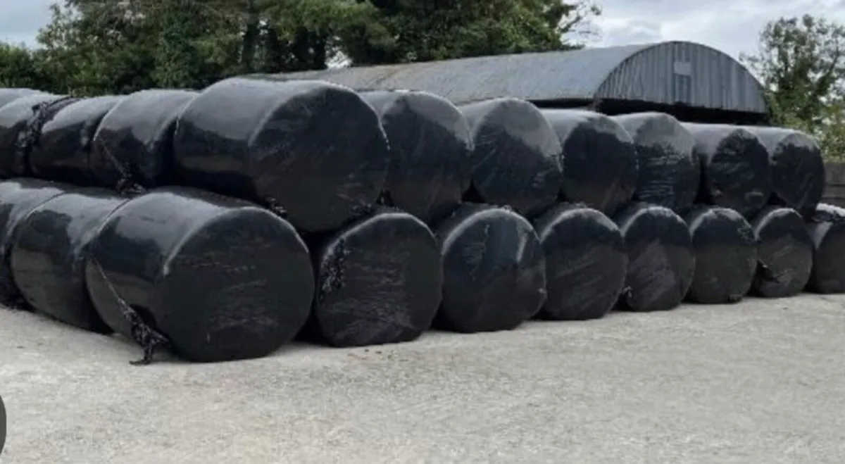 Silage bales - Image 1