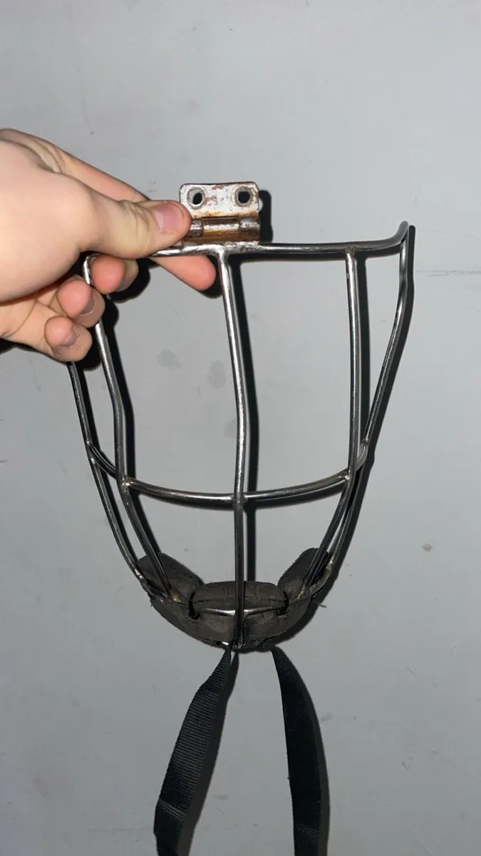 Oldstyle guard - Image 1