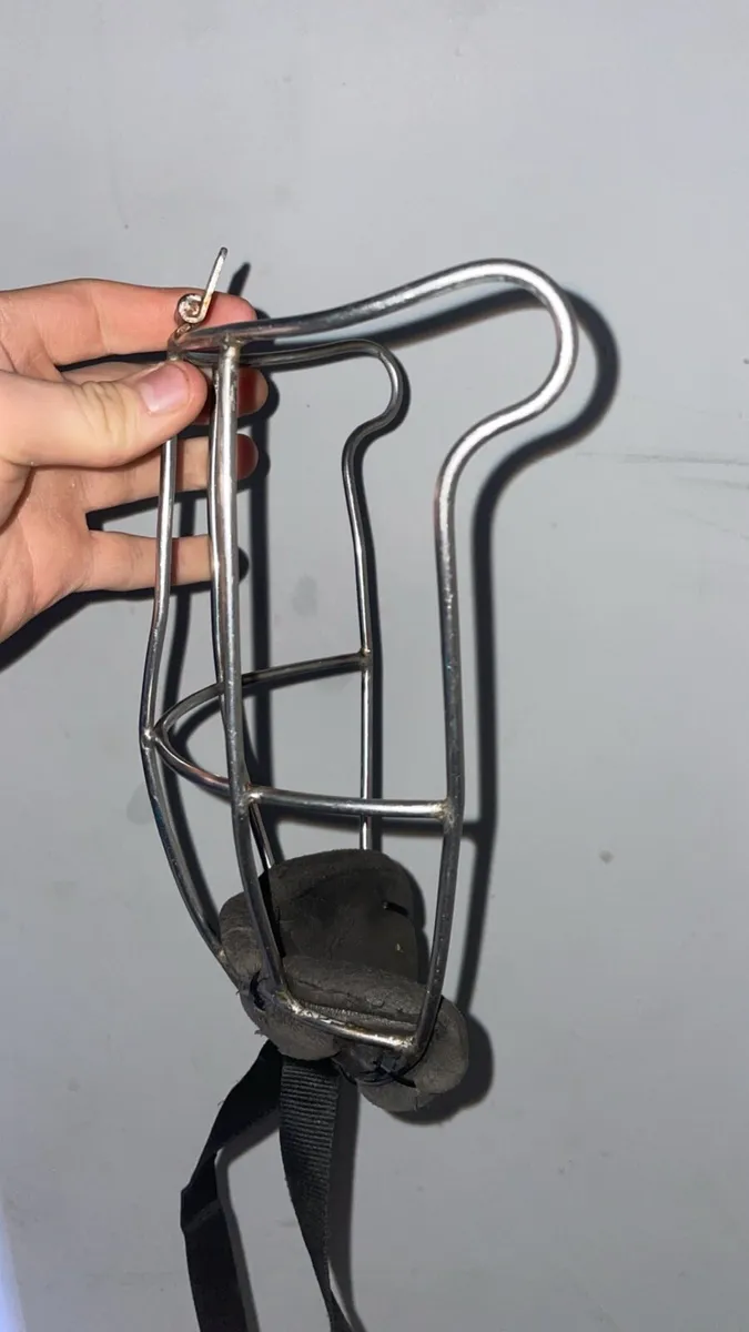 Oldstyle guard - Image 2