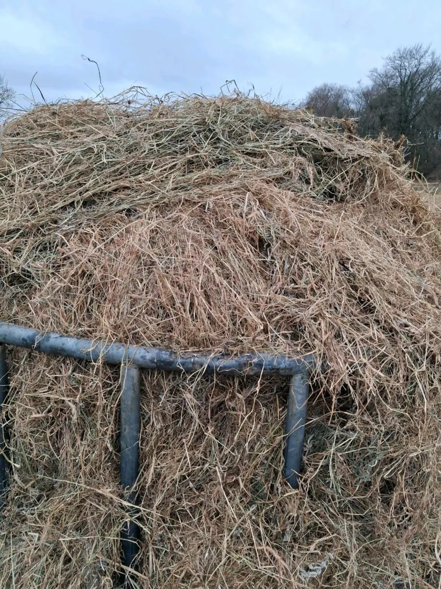 Good Haylage and silage - Image 2