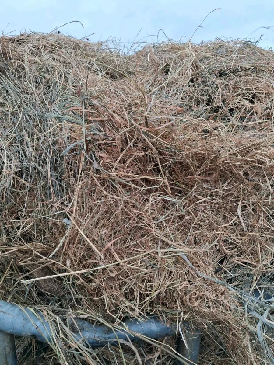 Good Haylage and silage - Image 3