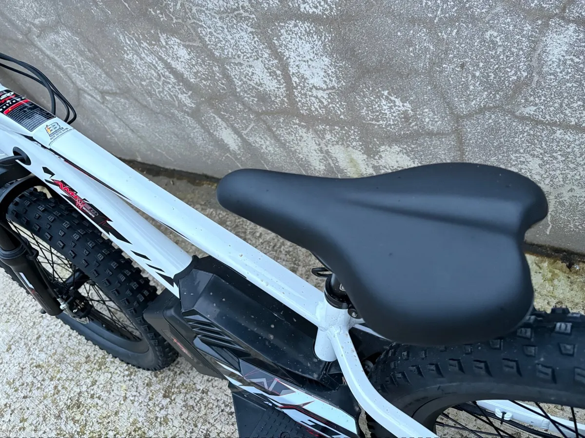 Amped pro 20” - Image 4