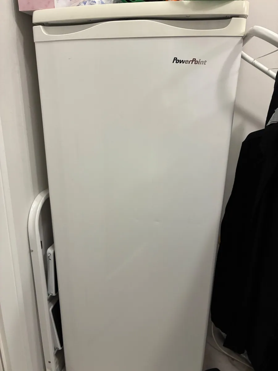 Stand alone freezer. - Image 1