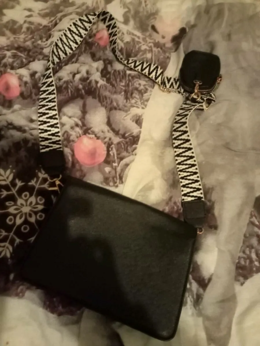 Ladies Prada handbag - Image 3