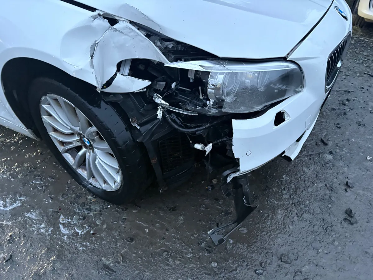 2015 Bmw F10 520D Automatic - Image 4