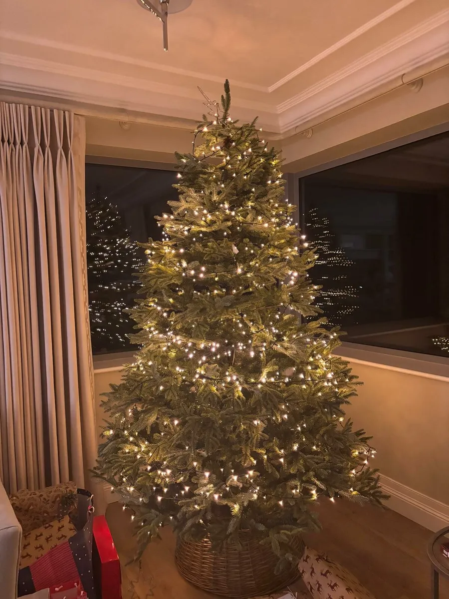 Balsam Hill Christmas Tree - Image 1