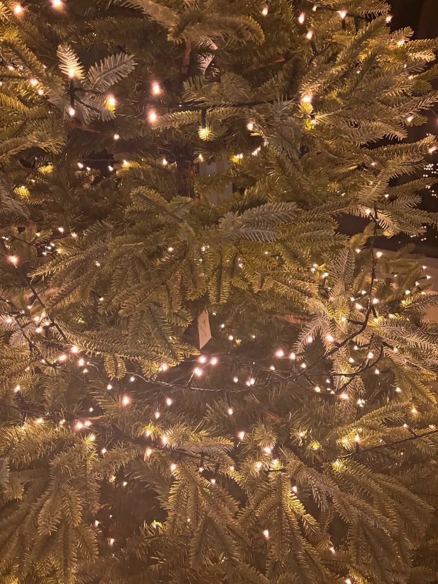 Balsam Hill Christmas Tree - Image 2