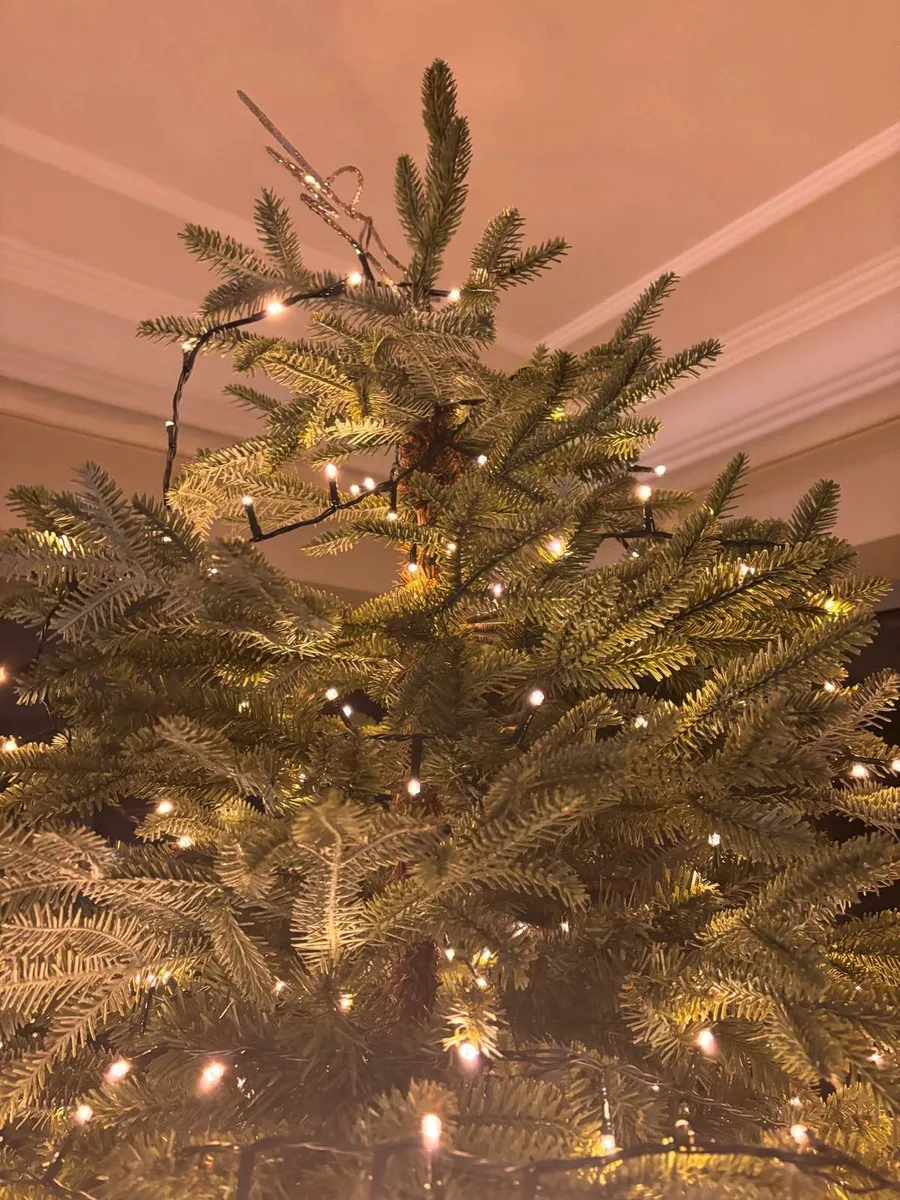 Balsam Hill Christmas Tree - Image 4