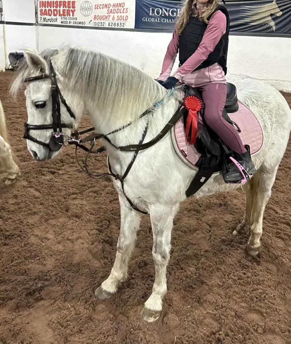 Perfect competition pony - Image 3