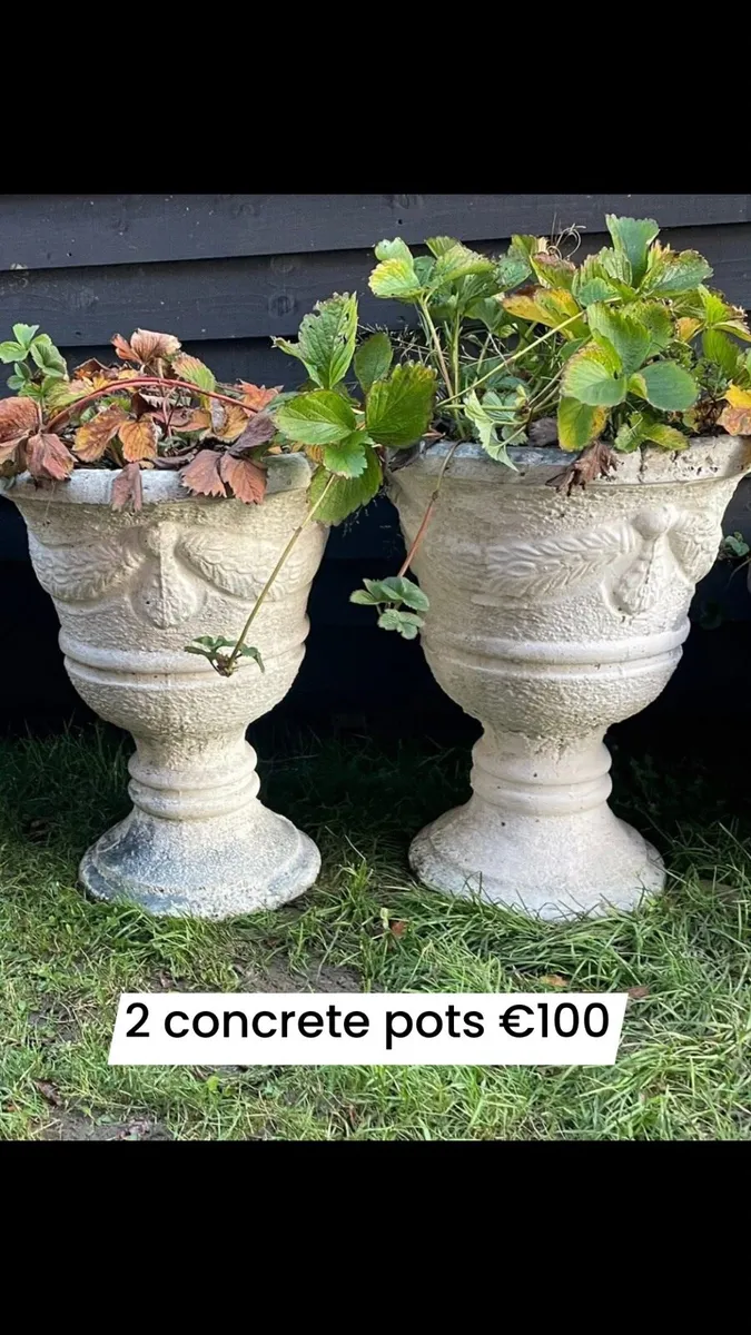 2 matching flower pots concrete - Image 1