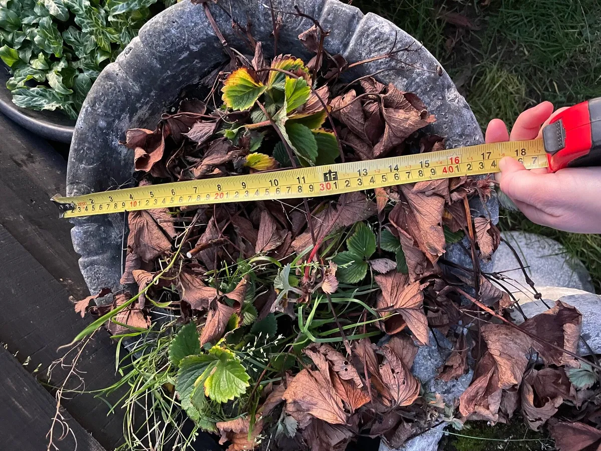 2 matching flower pots concrete - Image 4