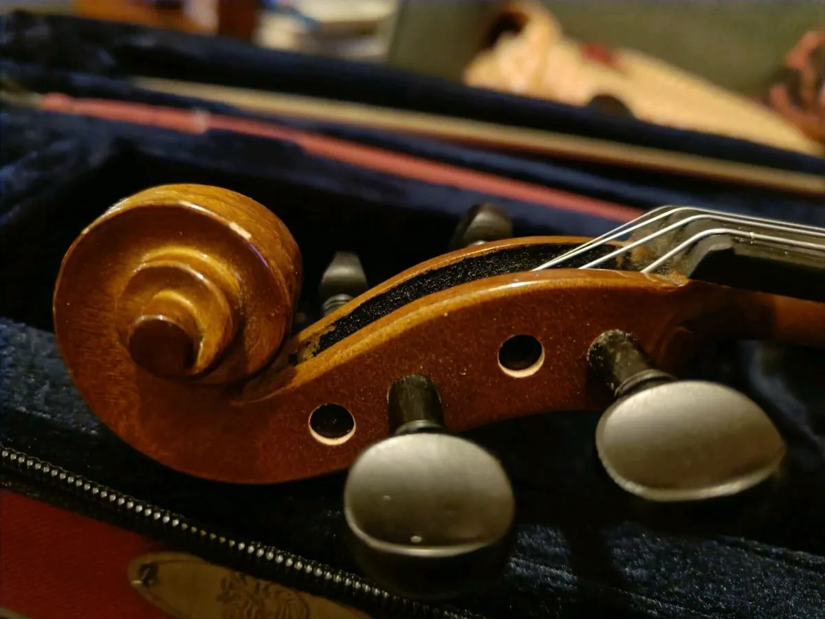 Stentor 2 violin - Image 3