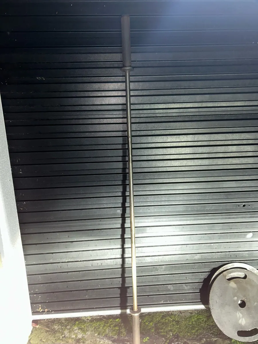 20kg bar - Plates (20kg,15kg,10kg,5kg)x2 + clips - Image 3