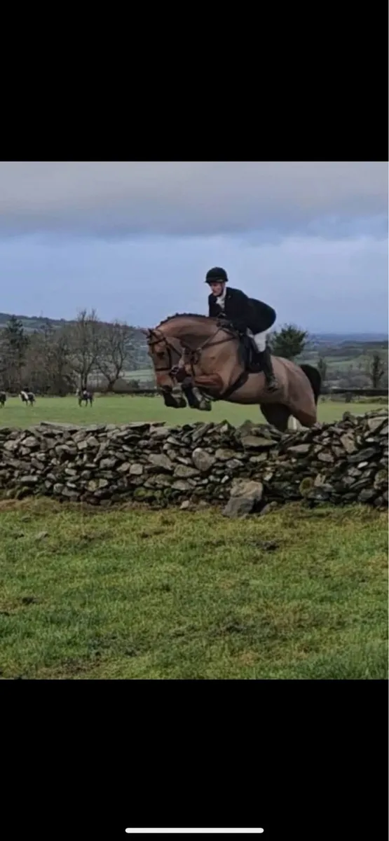 17h 6 yoISH, safe and easy talented  all rounder - Image 1