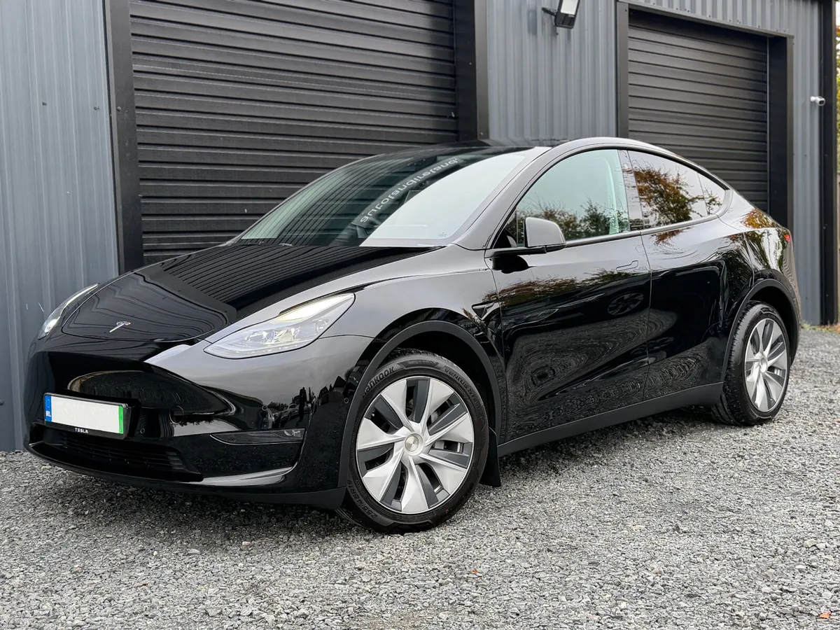 231 Tesla Model Y Dual Motor - Image 1