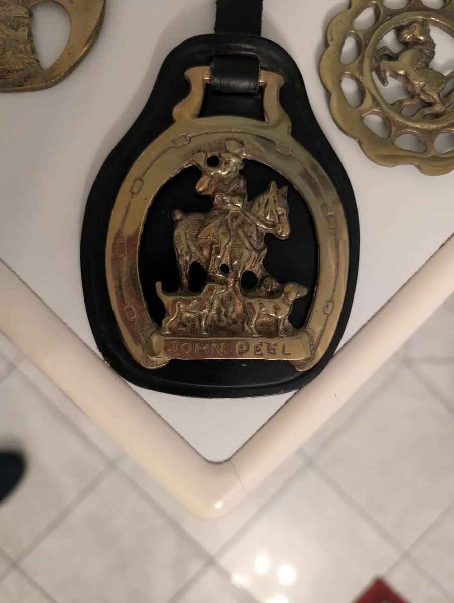 Vintage Horse Brass – 17 pieces inc. Guinness - Image 1