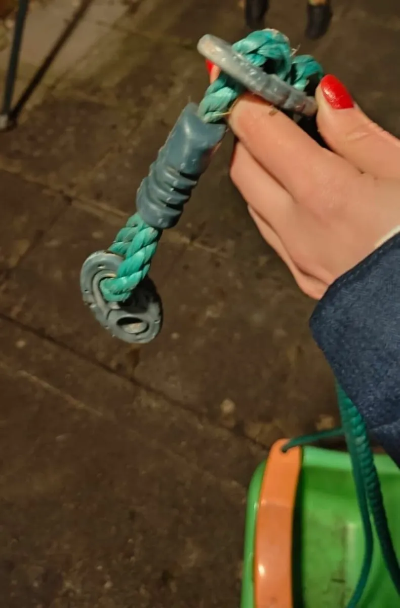 Colorbaby Outdoor Baby Swing Seat with Ropes - Image 4