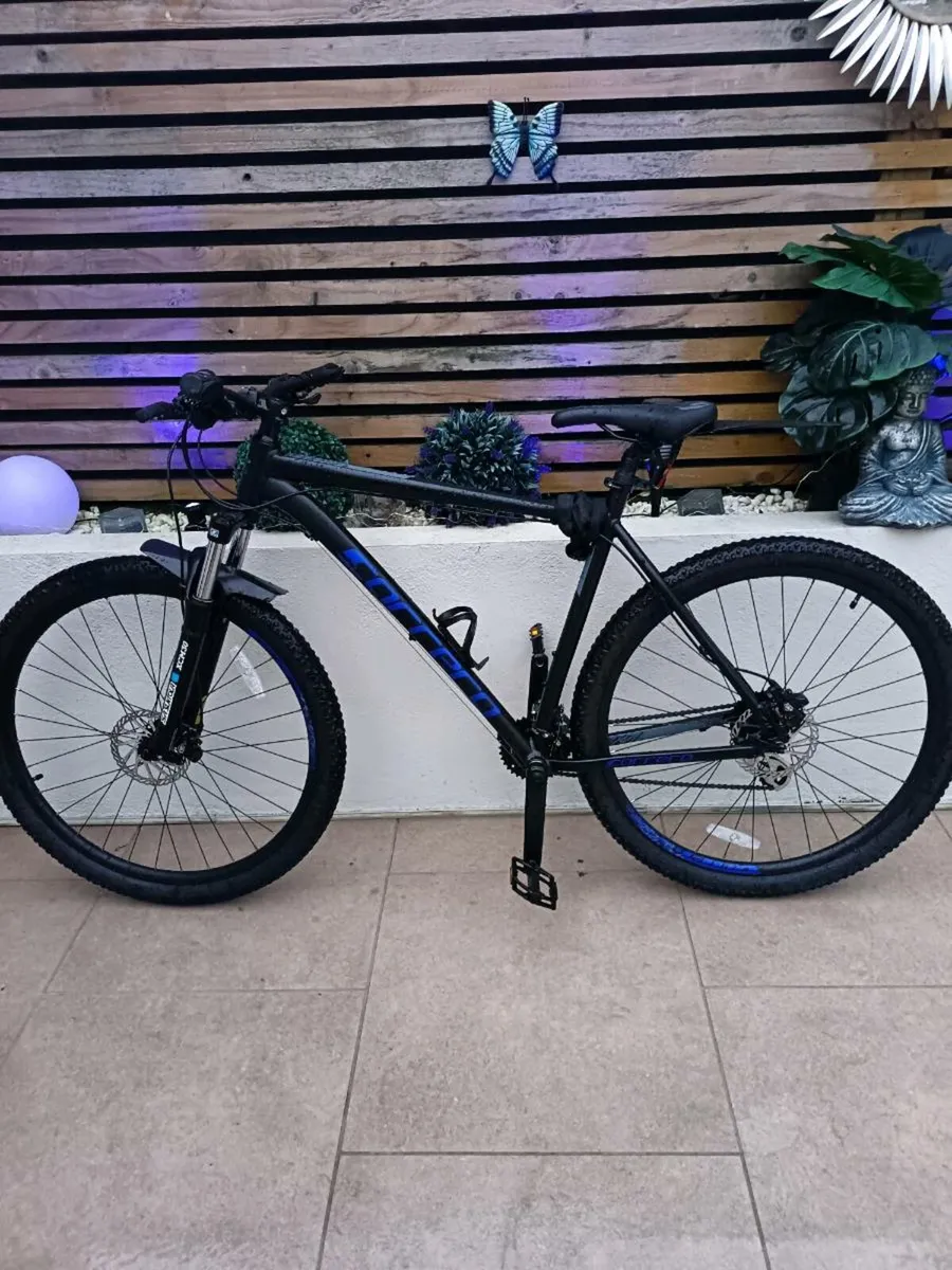 Mountain bike - Image 1