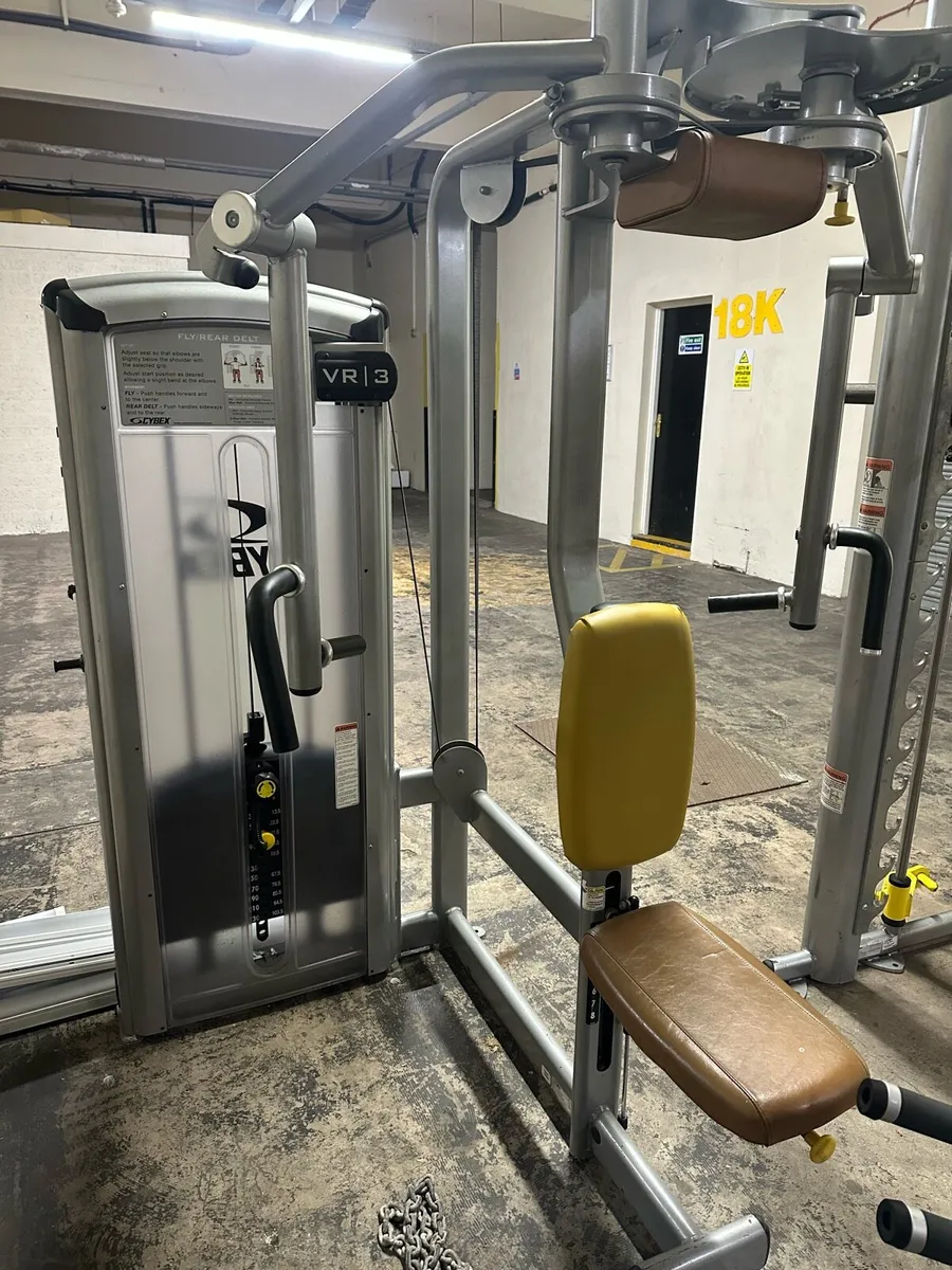 Cybex vr3 pec/rear delt
