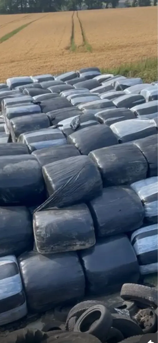 300 bales of silage for sale