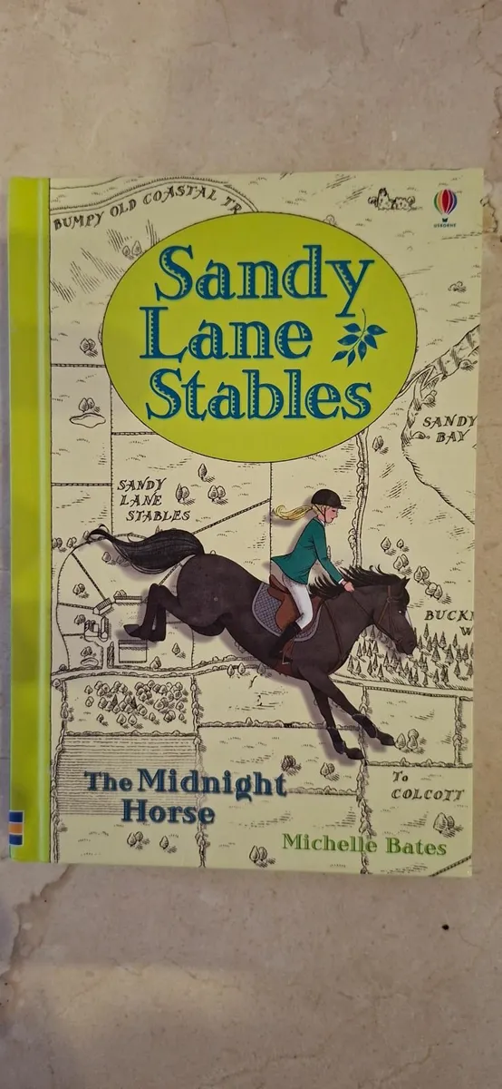 Sandy Lane Stables book age 8 +