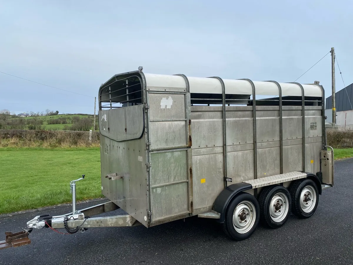 2008 Hudson (12x6) Tri-Axle Livestock Trailer - Image 1