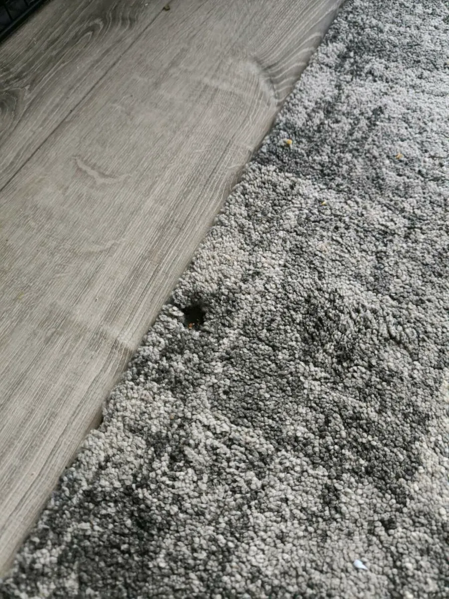 Sitting room rug - Image 2