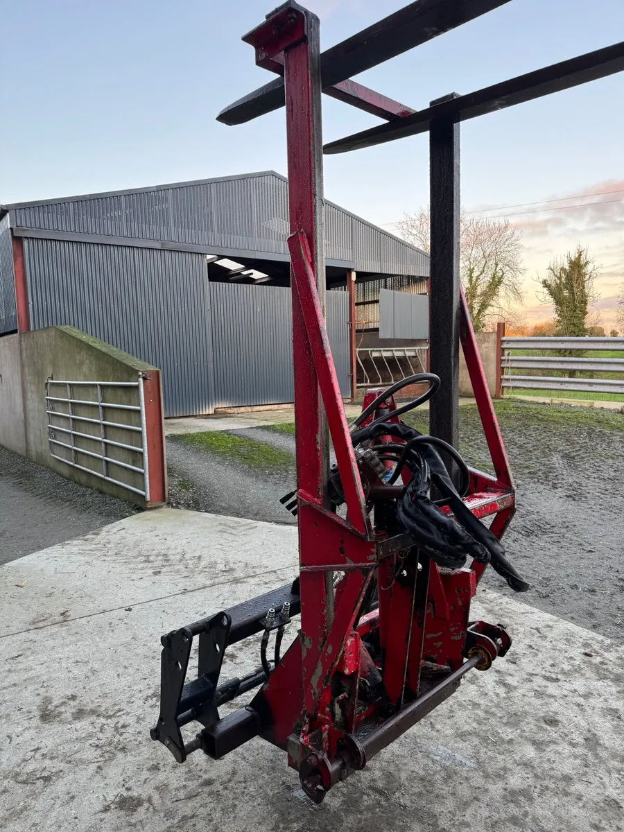 Johnston Mast - Image 2