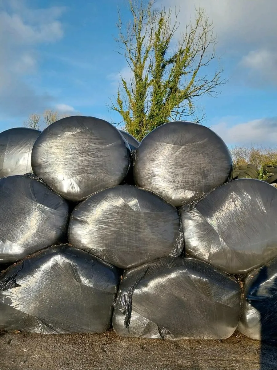 Bales of Silage
