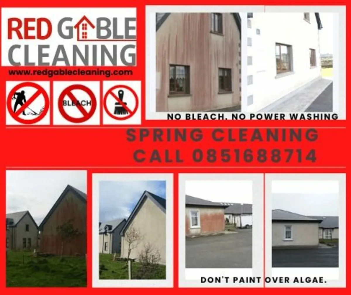 Exterior cleaning red/green algae fungus moss 100% - Image 4