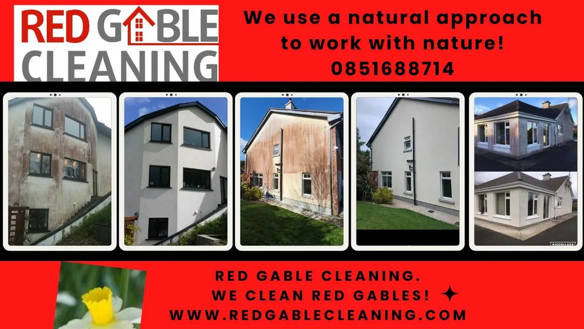 Exterior cleaning red/green algae fungus moss 100% - Image 2