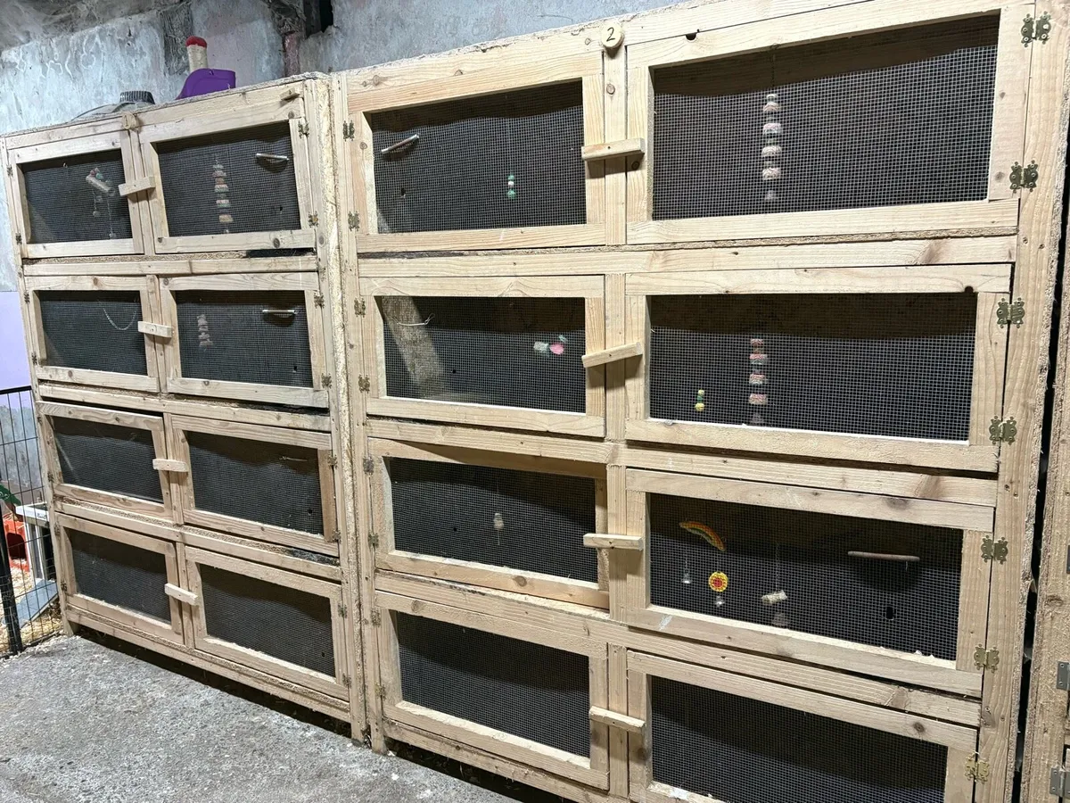 Hutch banks- rabbits/ferrets/cavies/chickens - Image 1