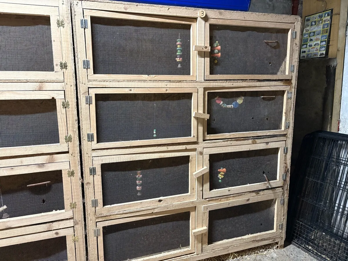 Hutch banks- rabbits/ferrets/cavies/chickens - Image 2