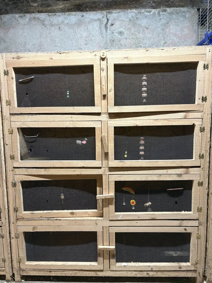 Hutch banks- rabbits/ferrets/cavies/chickens - Image 3