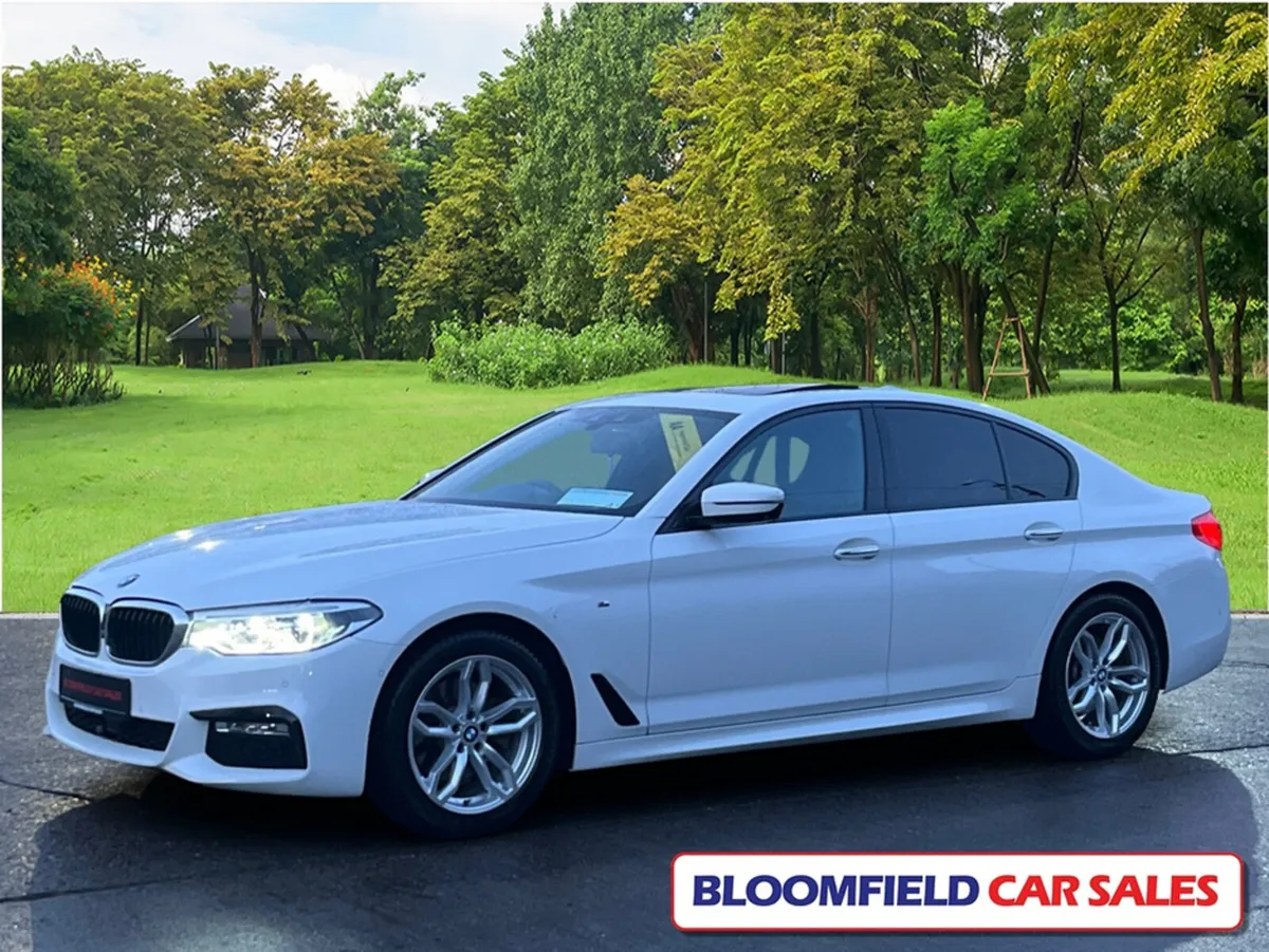 BMW 5-Series 5 SERIES MSPORT , AUTO // PRISTINE - Image 3