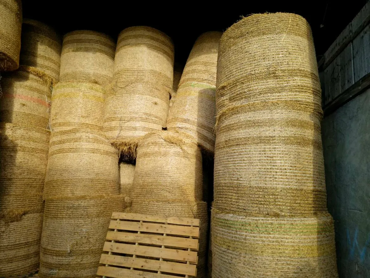 Round bales of hay for sale - Image 2