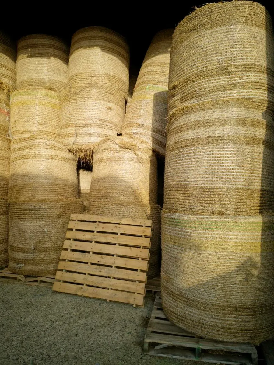 Round bales of hay for sale - Image 3